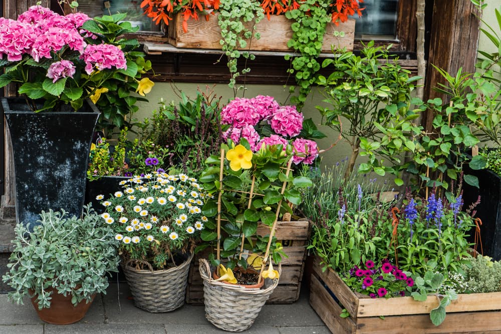 Hozelock Sales Store -Hozelock Sales Store 28