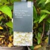 Hydrangea Paniculata 'Little Blossom' 5Ltr Pot -Hozelock Sales Store 5019945247536