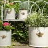 Woodlodge 29cm Wisteria Bee Cylinder Planter -Hozelock Sales Store 5021346427110 fa3cfc22 6889 45d8 b39f c047370bf042