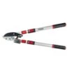 Darlac Telescopic Ratchet Lopper -Hozelock Sales Store 5038210003479