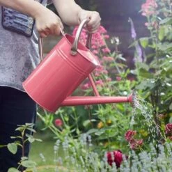 Smart Garden 9 Litre Galvanised Steel Watering Can -Hozelock Sales Store 5050642047210 2