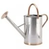 Smart Garden 9 Litre Galvanised Steel Watering Can 1 Smart Garden 9 Litre Galvanised Steel Watering Can -Hozelock Sales Store 5050642047234 2302db94 df29 471a b2b0 3be02c85f72a