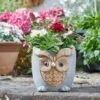 Flamboya 23cmWoodstone Owl Planter