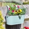 Smart Garden 30cm (12") Sage Fence & Balcony Hanging Planter -Hozelock Sales Store 5050642049757
