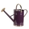 Smart Garden 9 Litre Violet Metal Watering Can -Hozelock Sales Store 5050642069991 bb1d1b4b 5c00 4767 bfda a5c5e02a4125