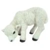 Vivid Arts 31cm Standing Lamb - XRL-LAMB-D -Hozelock Sales Store 5055195015518