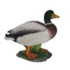 Vivid Arts 32cm Mallard Duck - XRL-MLLD-A -Hozelock Sales Store 5055195016713