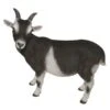 Vivid Arts 29cm Standing Goat- XRL-GOAT-D -Hozelock Sales Store 5055195017475