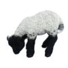 Vivid Arts 31cm Black / White Standing Lamb - XRL-BLLB-D 1 Vivid Arts 31cm Black / White Standing Lamb - XRL-BLLB-D -Hozelock Sales Store 5055195017697