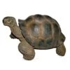 Vivid Arts 27cm Giant Tortoise -XRL-GTRT-D -Hozelock Sales Store 5055195018816