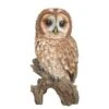 Vivid Arts 31.5cm Tawny Owl - XRL-TWNY-B -Hozelock Sales Store 5055195019448 c1876a6d fd06 4298 b9e0 29c74b19bfd2