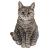 Vivid Arts 30cm Tabby Sitting Cat - XRL-SC33-B 2 Vivid Arts 30cm Tabby Sitting Cat - XRL-SC33-B -Hozelock Sales Store 5055195020222