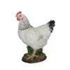 Vivid Arts 27cm Black & White Summer Hen - XRL-CH47-D -Hozelock Sales Store 5055195020482