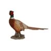 Vivid Arts 52cm Pheasant - XRL-NT04 2 Vivid Arts 52cm Pheasant - XRL-NT04 -Hozelock Sales Store 5055195020789 7ad3e4d2 7c33 4dad b878 58606602649f