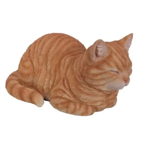Vivid Arts 35cm Ginger Dreaming Cat - XRL-DC25-B -Hozelock Sales Store 5055195022523