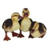Vivid Arts 23cm Standing Duckling Group - NF-DK26-D -Hozelock Sales Store 5055195023674