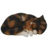 Vivid Arts 27cm Sleeping Tortoiseshell Cat - XRL-ZC32-B 2 Vivid Arts 27cm Sleeping Tortoiseshell Cat - XRL-ZC32-B -Hozelock Sales Store 5055195025036