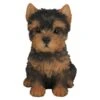Vivid Arts 16cm Yorkshire Terrier Puppy Pet Pals - PP-Y -Hozelock Sales Store 5055195025302