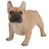 Vivid Arts 50cm Gold French Bulldog - XRL-FRBD-A -Hozelock Sales Store 5055195025616