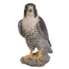 Vivid Arts 25cm Peregrine Falcon - XRL-PFAL-B -Hozelock Sales Store 5055195025807