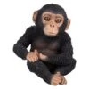 Vivid Arts 14cm Pet Pals Sitting Baby Chimp - PZ-CHM3-F -Hozelock Sales Store 5055195030498