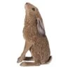 Vivid Arts 35cm Moon Gazing Hare - XRL-HR01-A -Hozelock Sales Store 5055195036582