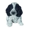 Vivid Arts Black & White Cocker Spaniel Puppy - PP-CKB -Hozelock Sales Store 5055195036759