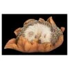 Vivid Arts Baby Hedgehog Sleeping On Leaf XRL-HH09-F -Hozelock Sales Store 5055195037596