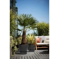 Elho 25cm Living Black Greenville Round Planter -Hozelock Sales Store 8711904332334 5