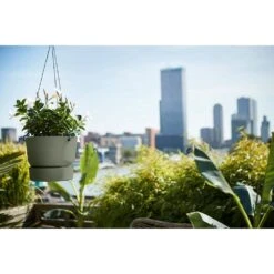 Elho 24cm Leaf Green Greenville Hanging Basket Planter 11 Elho 24cm Leaf Green Greenville Hanging Basket Planter -Hozelock Sales Store 8711904332440 5