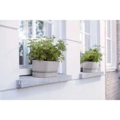 Elho 50cm Living Concrete Greenvillle Long Trough Planter 10 Elho 50cm Living Concrete Greenvillle Long Trough Planter -Hozelock Sales Store 8711904358440 4